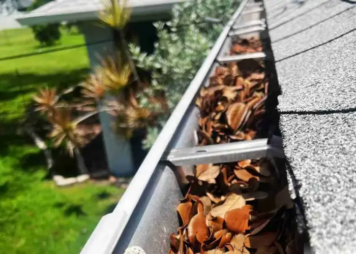 St. Charles gutter cleaning home page